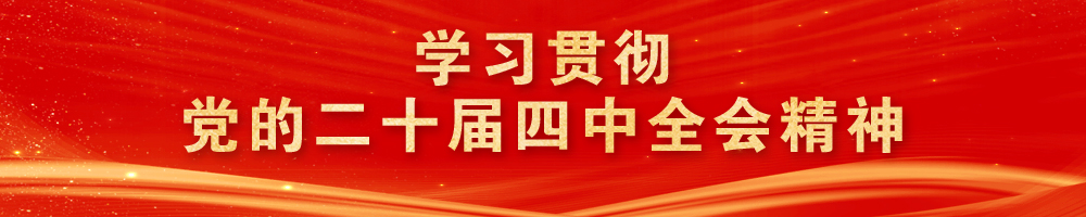 学习贯彻党的二十届四中全会精神