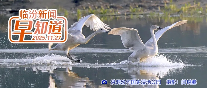 市文旅局公示/尧都区事业单位补充招聘公示/市中医医院招聘工作人员32名