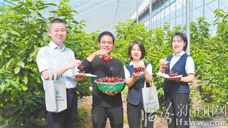 支持大棚樱桃种植.jpg