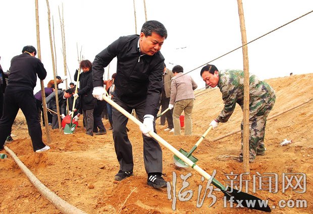市委书记罗清宇在活动现场栽植树苗。