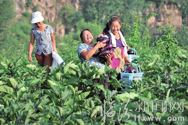 收入增加了,农民脸上露出了笑容。