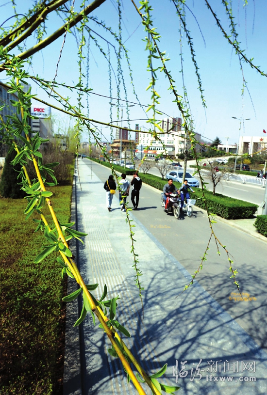 春分时节 春意浓