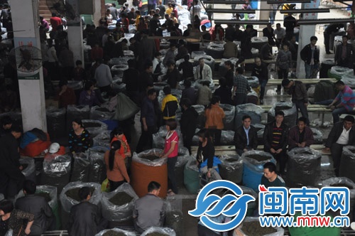 1.2茶都市场里密密麻麻的人群