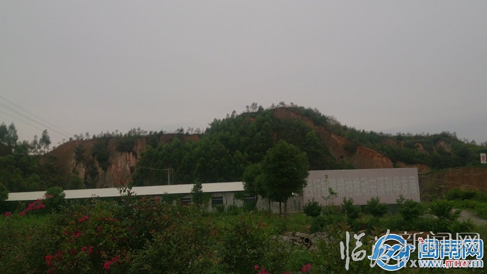 进行崩岗治理的山坡 副本