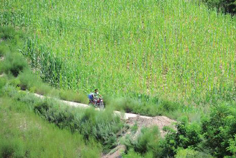 他每天穿梭在崎岖的山路上