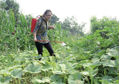 干起农活有板有眼