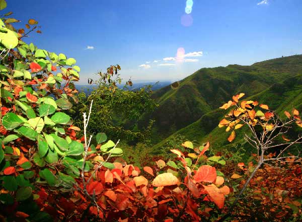 美丽的西山红叶（5张）