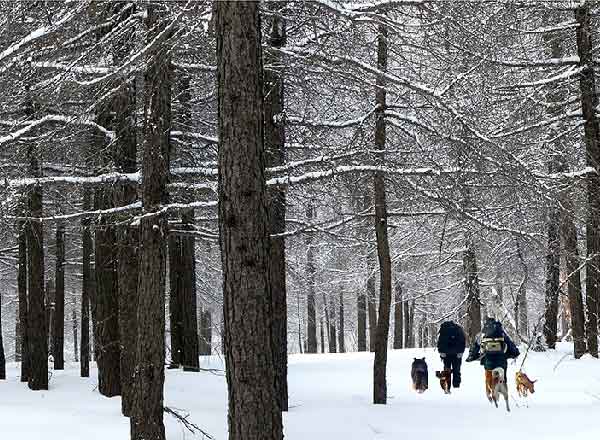 美丽乡宁（12张）
