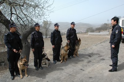 搜暴小组正在行动