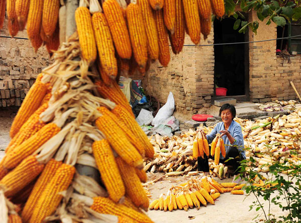 尧井园映像（8张）