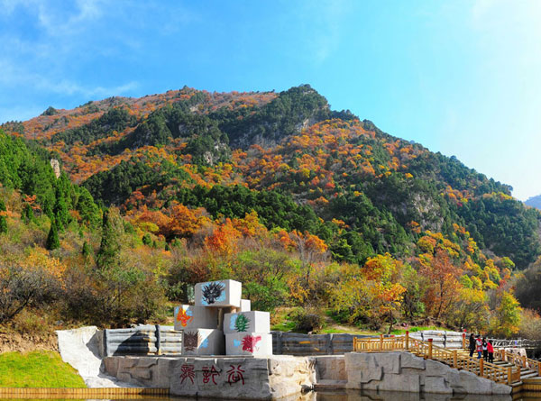 层林尽染（4张）