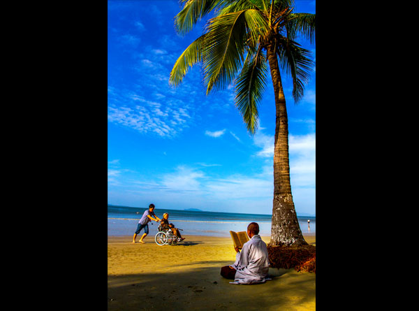 南国风情（2张）