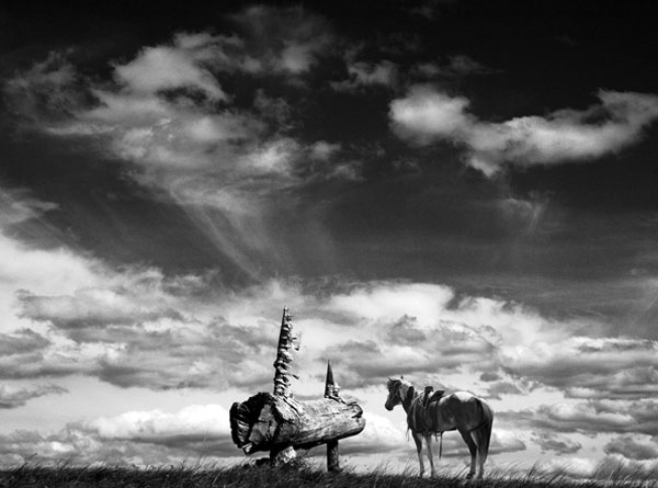 历史的天空（9张）