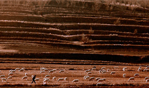 霍山风光（8张）