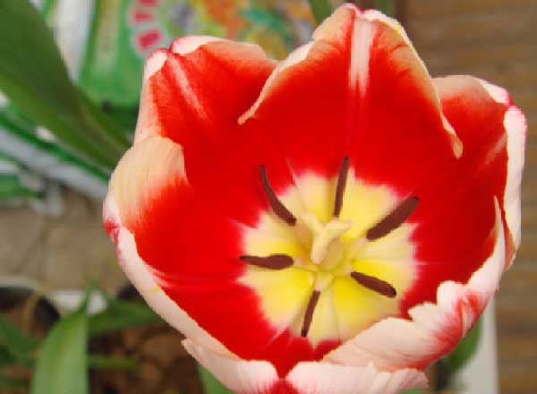 汾河公园夜景（3张）