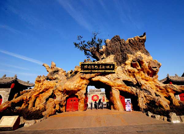 滨河美景（11张）