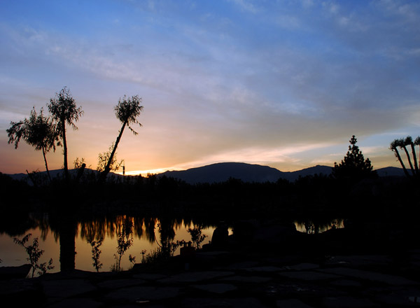 汾河公园（12张）