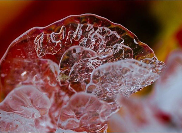 七里峪美丽的冰凌花（9张）