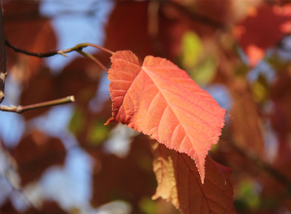 兴唐寺风光（7张）