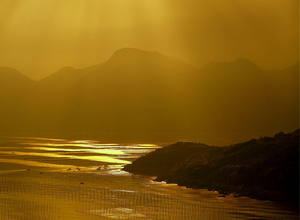 初阳荷花娇（27张）