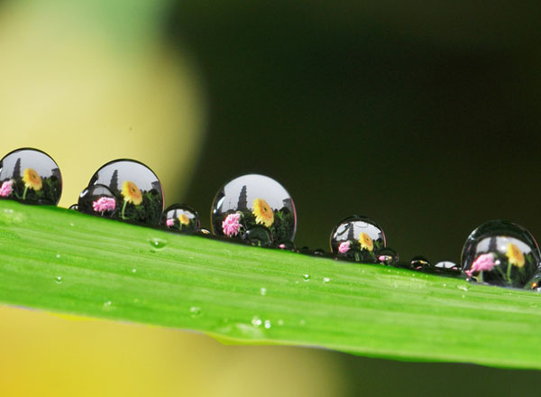 金色霞浦（3张）