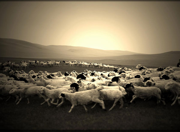 精彩一瞬（5张）