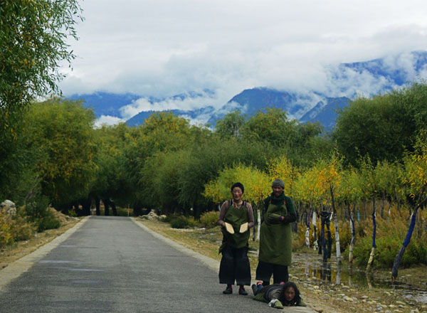 【把灵魂留在林芝】朝拜之路（12张）