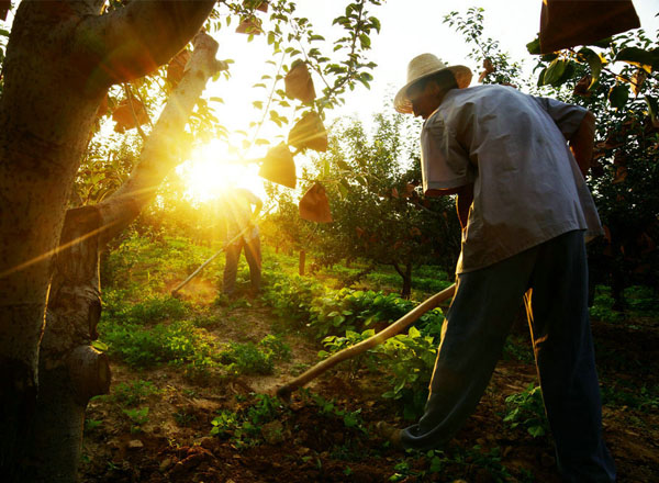 平遥古城（13张）