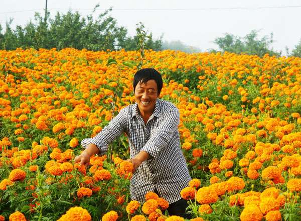 隰县：树上树下都来钱（5张）