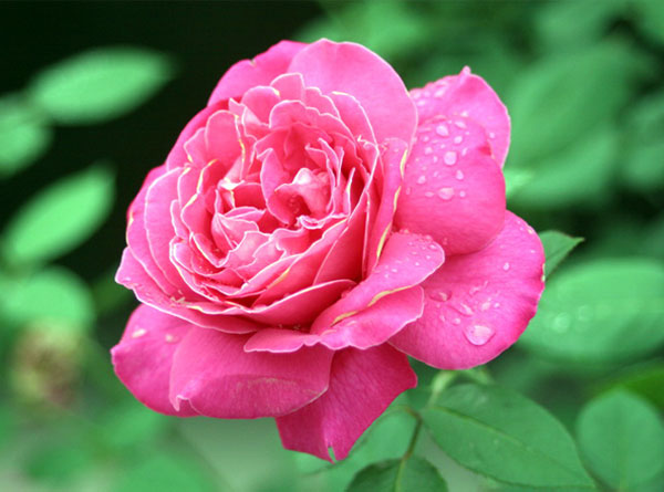 乡村秋色（5张）