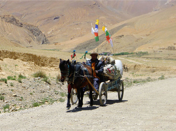 高原风光（一）