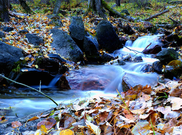 吕梁秋韵【二】（8张）