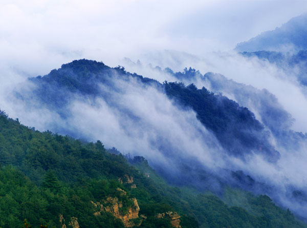 雪落莽原（4张）