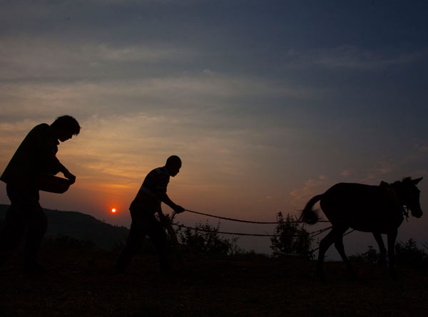 廉政广场（5张）