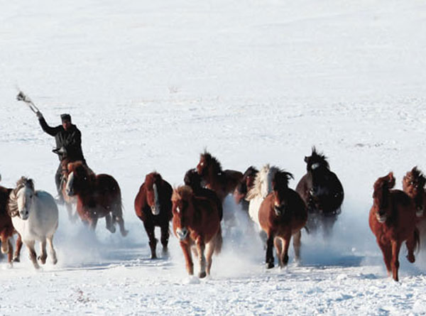 藏族女性（2张）