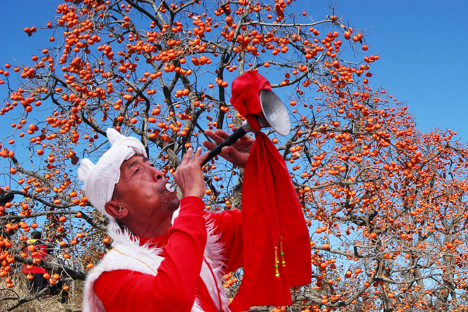 情系三农作品辑【2】（25张）