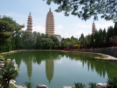 花草随心（6张）