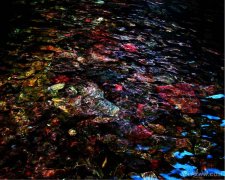 陶塘峪风光（5张）