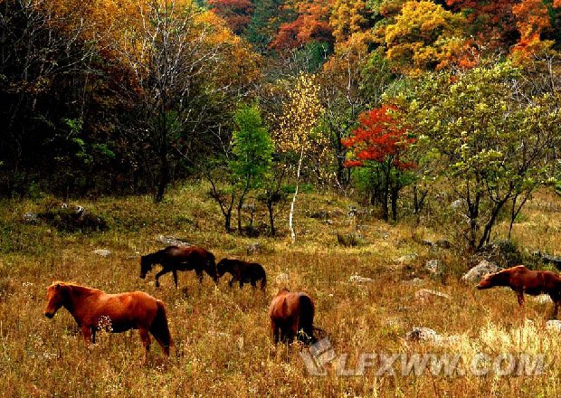 七里峪风光（8张）