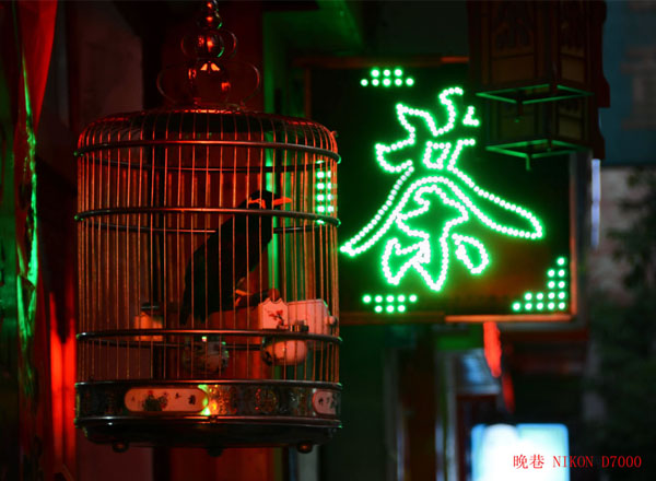 汾河印象（5张）