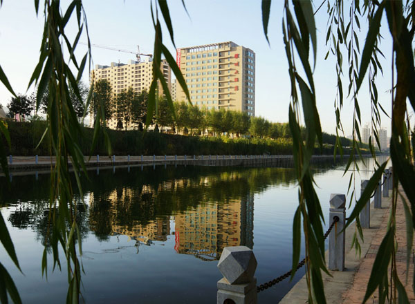 秋柳依依隰州美（8张）