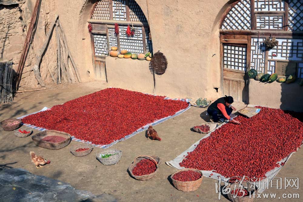平阳秋色（12张）