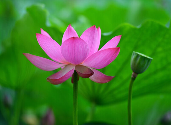 隰县：中南铁路员家庄特大桥（9张）