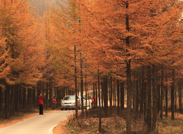 秋望霍岳山  雨游七里峪（28张）