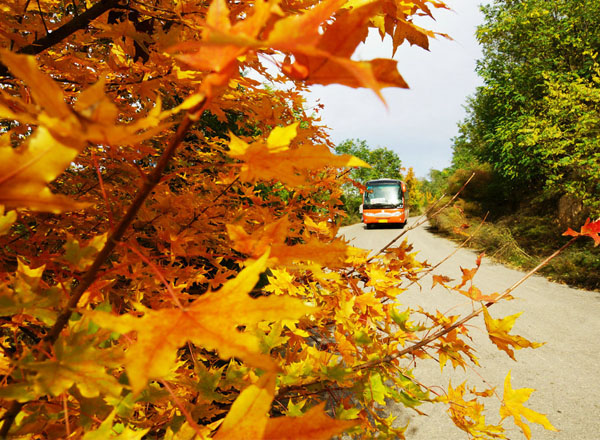 一路金秋“村村通”（16张）