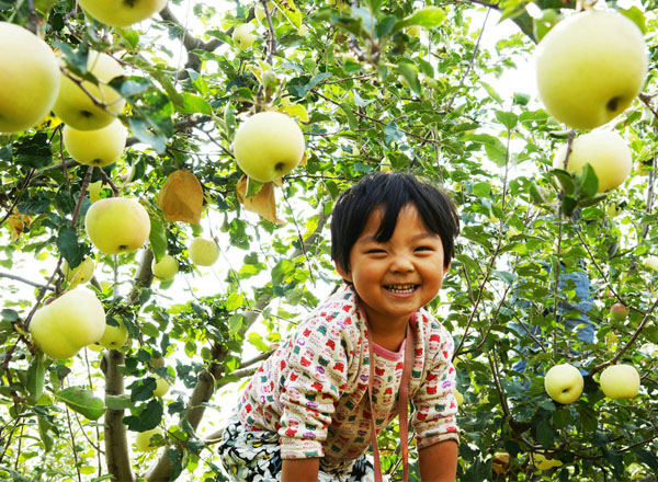 金秋的笑靥（15张）