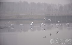 金梨之乡铁路来（10张）