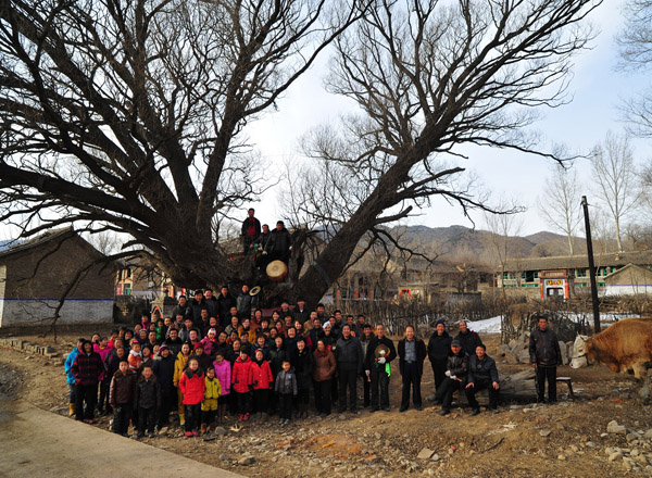 黄土情 黄土根（3张） 