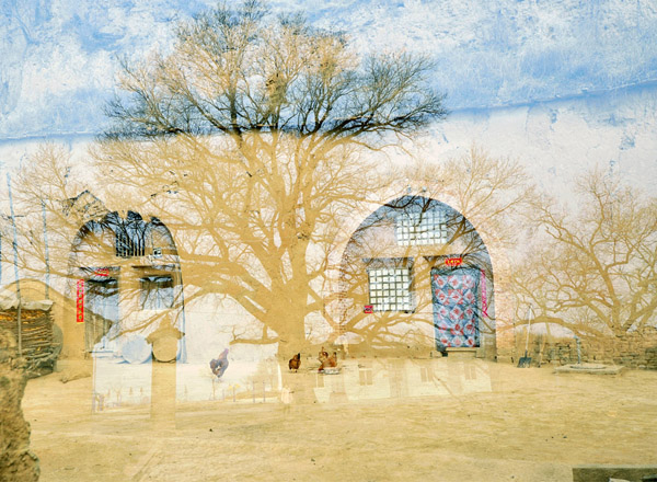 黄土高原我的家 