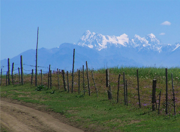 新疆游（10张） 
